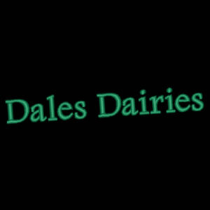 R238X compass padded softshell gilet Design